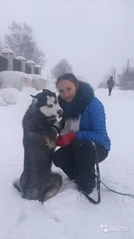 Дресирування собак в Москві - адреси, довідкова інформація, відгуки в довіднику компаній, (Станьте першим) Дресирування собак в Москві - адреси, довідкова інформація, відгуки в довіднику компаній,