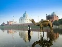 Двогорбий верблюд, бактріан (camelus bactrianus) верблюд двогорбий фото хабтагай ареал зовнішній вигляд