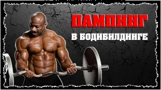 Дроп - сети, що це якісь бувають дроп - сети як використовувати