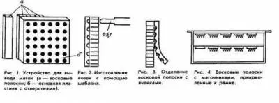 Джентерскій сот