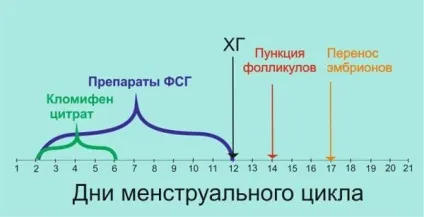 Еко чим відрізняється довгий протокол від короткого (короткого) Еко чим відрізняється довгий протокол від короткого