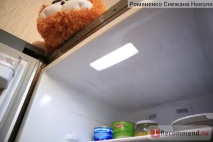 Двокамерний холодильник samsung rl 46 rsbts (mg) - «кількість плюсів у цього холодильника просто (samsung) Двокамерний холодильник samsung rl 46 rsbts (mg) - «кількість плюсів у цього холодильника просто