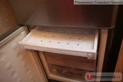 Двокамерний холодильник samsung rl 46 rsbts (mg) - «кількість плюсів у цього холодильника просто (samsung) Двокамерний холодильник samsung rl 46 rsbts (mg) - «кількість плюсів у цього холодильника просто