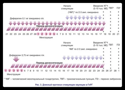 Еко чим відрізняється довгий протокол від короткого (короткого) Еко чим відрізняється довгий протокол від короткого