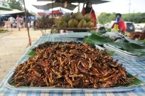 Екзотична їжа в Таїланді, гід по тайської кухні (тайська кухня) Екзотична їжа в Таїланді, гід по тайської кухні