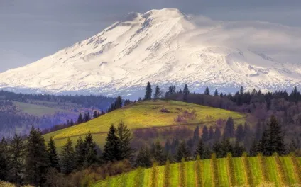 Ельбрус (elbrus)