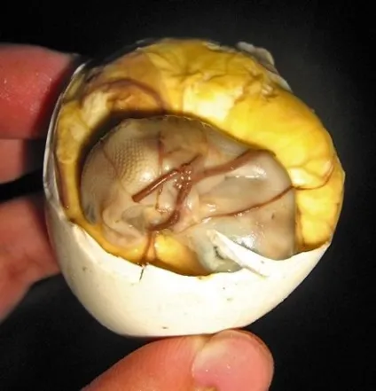 Екзотична їжа, цікаві факти