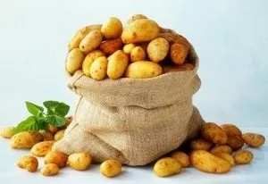 Самогон з картоплі рецепт приготування браги (приготування) Самогон з картоплі рецепт приготування браги