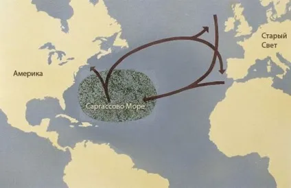 Найбільші моря в світі, цікаві факти (моря) Найбільші моря в світі, цікаві факти
