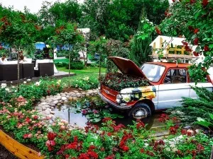 Фестиваль квітів вУкаіни