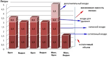 Фізіологія дихання людини, підготовка газодимозахисників (фізіологія дихання людини) Фізіологія дихання людини, підготовка газодимозахисників