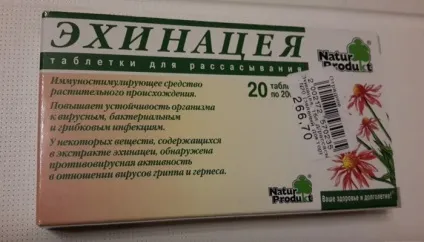 Ехінацея в таблетках для імунітету інструкція із застосування (показання) Ехінацея в таблетках для імунітету інструкція із застосування