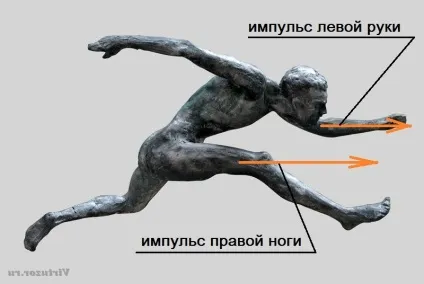 фізика спорту