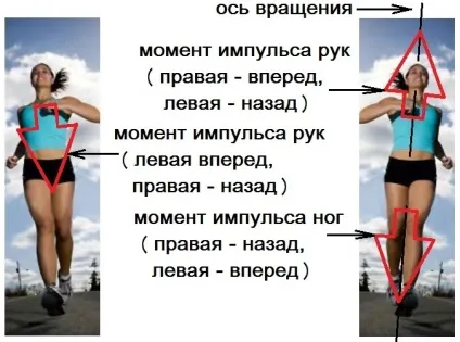 фізика спорту