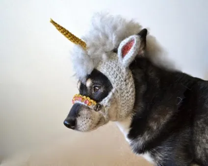 Цей непередбачуваний в'язаний світ - ярмарок майстрів - ручна робота, handmade (цікаво) Цей непередбачуваний в'язаний світ - ярмарок майстрів - ручна робота, handmade