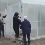 Гараж з полікарбонату і його фото (гараж полікарбонат своїми руками фото дах) Гараж з полікарбонату і його фото