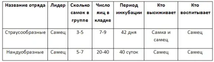 Гдз - відповіді до робочого зошита з біології (рішення домашньої роботи) Гдз - відповіді до робочого зошита з біології