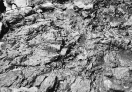 Геологія розсипів - сайт компанії dekree (якісні бурові установки) Геологія розсипів - сайт компанії dekree