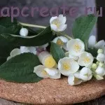 Гідрофільні плитки (рецепт) (рецепта гідрофільних плиток) Гідрофільні плитки (рецепт)