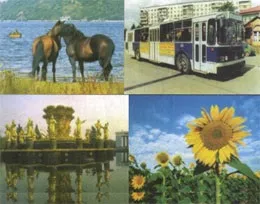 Місто або село - де жити