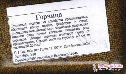 Гірчиця як добриво спосіб застосування (гірчиця) Гірчиця як добриво спосіб застосування