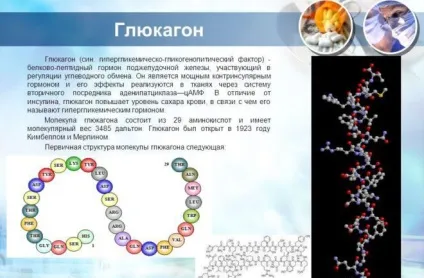 Глюкагон і інсулін 1