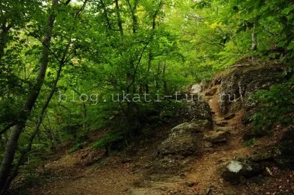 Гора Демерджі і долина привидів як дістатися, відгук з фото (гора) Гора Демерджі і долина привидів як дістатися, відгук з фото
