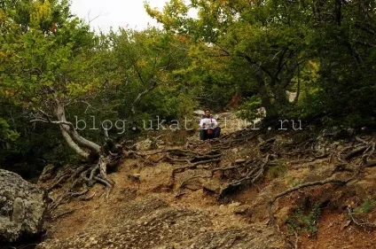 Гора Демерджі і долина привидів як дістатися, відгук з фото (Демерджі) Гора Демерджі і долина привидів як дістатися, відгук з фото