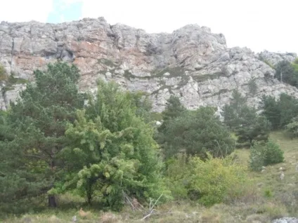 Гора Демерджі в криму фото, опис, маршрути (криму) Гора Демерджі в криму фото, опис, маршрути