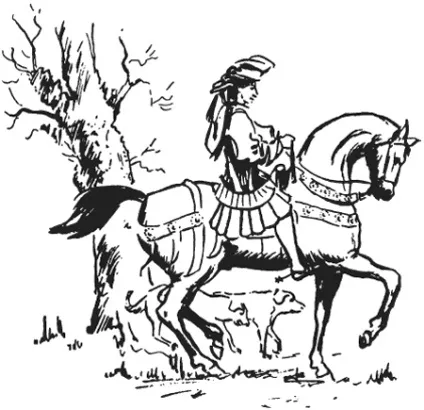 Глава 1 кінь