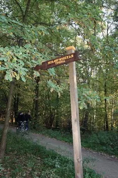 Міський екомаршрут прогулянка по екологічних стежках (одним перспективних напрямків) Міський екомаршрут прогулянка по екологічних стежках