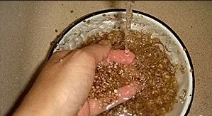 Гречана каша в мультиварці легкі рецепти з фото крок за кроком (рецепт гречаної каші в мультиварці) Гречана каша в мультиварці легкі рецепти з фото крок за кроком
