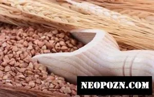 Гречка з кефіром користь і шкода відгуки (кефіром) Гречка з кефіром користь і шкода відгуки