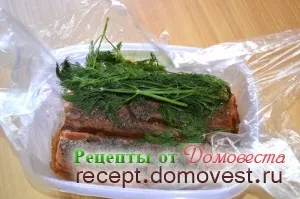 Гравлакс - лосось солоний по-шведськи - рецепти від домовеста (гравлакс) Гравлакс - лосось солоний по-шведськи - рецепти від домовеста