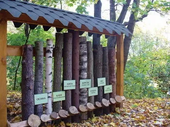 Міський екомаршрут прогулянка по екологічних стежках (територія планування урбаністика екологія благоустрій містобудування нерухомість екореконструкція) Міський екомаршрут прогулянка по екологічних стежках