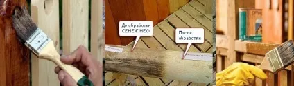 Грибок деревини, захист від нього, сучасні методи боротьби, Домострой (Альтанка бруса проект) Грибок деревини, захист від нього, сучасні методи боротьби, домобуд