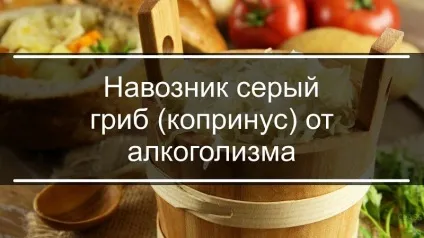 Гриб гнойовик від алкоголізму опис і фото (опис) Гриб гнойовик від алкоголізму опис і фото