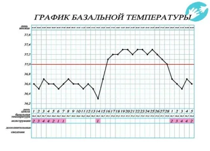 Градусник для виміру базальної температури - фото, який підходить, скільки тримати (градусник) Градусник для виміру базальної температури - фото, який підходить, скільки тримати