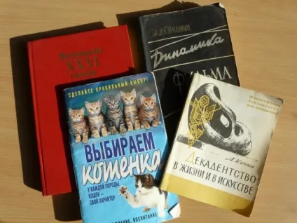 Міський експеримент що в Кишиневі можна купити за 1 лей (можна) Міський експеримент що в Кишиневі можна купити за 1 лей