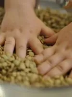 Ігри на природі для дітей