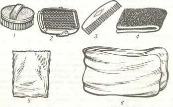Інвентар для утримання та чищення собак - студопедія (інвентар) Інвентар для утримання та чищення собак - студопедія