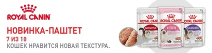 Інтернет зоомагазин товарів для собак, кішок та інших домашніх вихованців (товарів) Інтернет зоомагазин товарів для собак, кішок та інших домашніх вихованців
