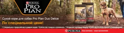 Інтернет зоомагазин товарів для собак, кішок та інших домашніх вихованців (інтернет) Інтернет зоомагазин товарів для собак, кішок та інших домашніх вихованців
