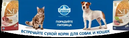 Інтернет зоомагазин товарів для собак, кішок та інших домашніх вихованців ( «Royal Canin» «Acana») Інтернет зоомагазин товарів для собак, кішок та інших домашніх вихованців