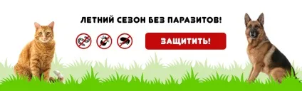 Інтернет зоомагазин товарів для собак, кішок та інших домашніх вихованців (товарів) Інтернет зоомагазин товарів для собак, кішок та інших домашніх вихованців