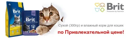 Інтернет зоомагазин товарів для собак, кішок та інших домашніх вихованців (собак) Інтернет зоомагазин товарів для собак, кішок та інших домашніх вихованців