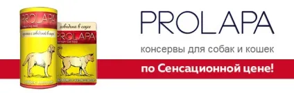 Інтернет зоомагазин товарів для собак, кішок та інших домашніх вихованців (інтернет) Інтернет зоомагазин товарів для собак, кішок та інших домашніх вихованців