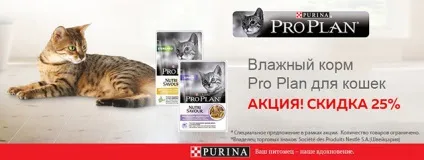 Інтернет зоомагазин товарів для собак, кішок та інших домашніх вихованців (інтернет) Інтернет зоомагазин товарів для собак, кішок та інших домашніх вихованців