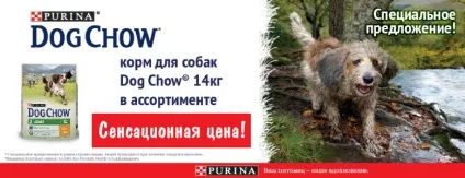 Інтернет зоомагазин товарів для собак, кішок та інших домашніх вихованців (кішок) Інтернет зоомагазин товарів для собак, кішок та інших домашніх вихованців