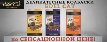 Інтернет зоомагазин товарів для собак, кішок та інших домашніх вихованців (собак) Інтернет зоомагазин товарів для собак, кішок та інших домашніх вихованців
